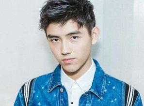 圈内八卦爆料陈飞宇图片,圈内八卦背后的真相揭晓  第1张